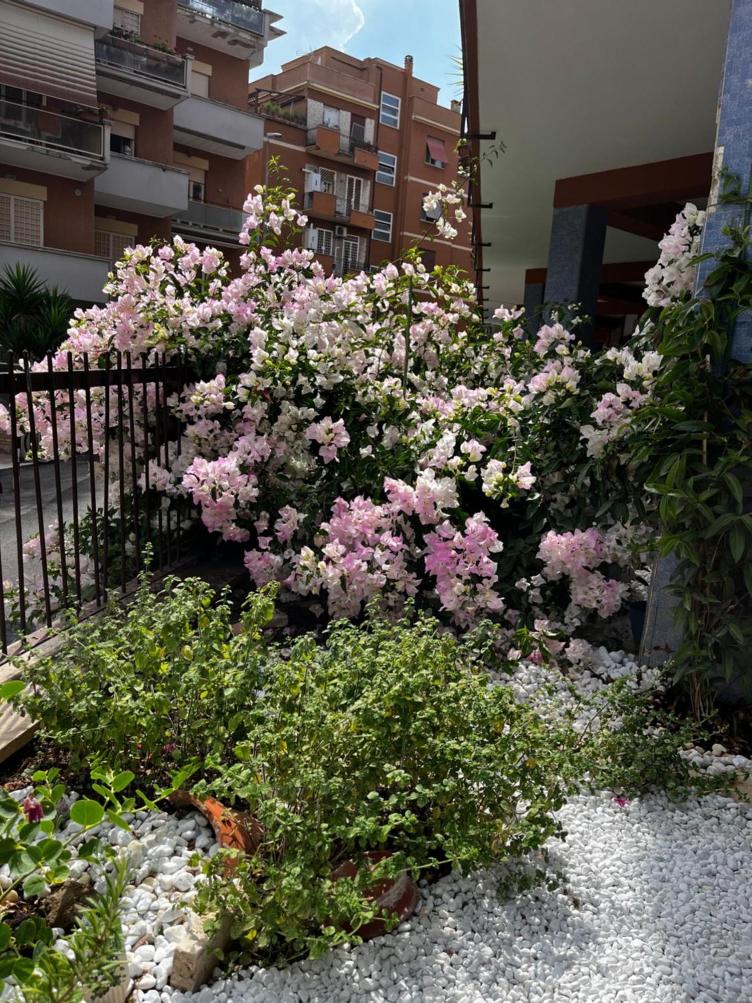 Casetta Romana Exterior photo